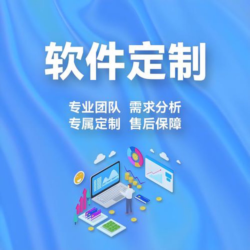 定制软件